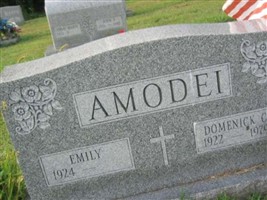 Domenick C. Amodei