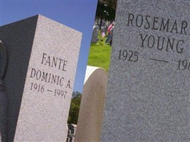 Domenick Cassise