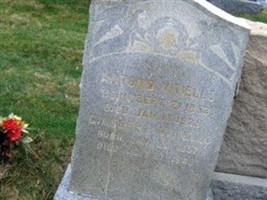 Domenico Antonio Vitiello
