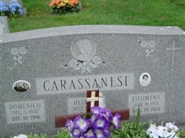 Domenico Carassanesi Domenico Carassanesi