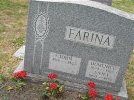 Domenico Farina Domenico Farina