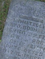Domenico Minutelli