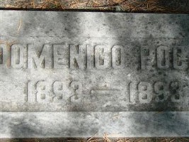 Domenico Pocai