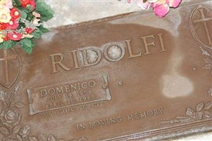 Domenico Ridolfi