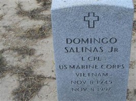 Domingo Salinas, Jr Domingo Salinas, Jr