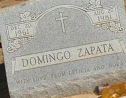 Domingo Zapata