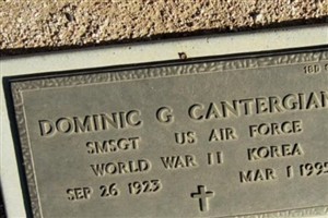 Dominic G Cantergiani
