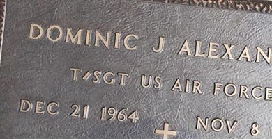 Dominic J Alexander