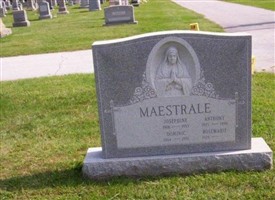 Dominic Maestrale