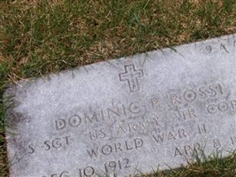 Dominic P Rossi
