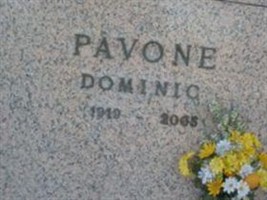 Dominic Pavone Dominic Pavone