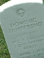 Dominic Tamberino