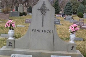 Dominic Venetucci Dominic Venetucci