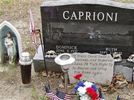 Dominick Caprioni Dominick Caprioni