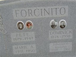 Dominick Forcinito