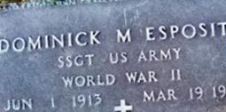 Dominick M Esposito