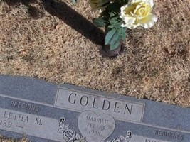 Donald E Golden