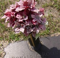 Donald K. Rollins