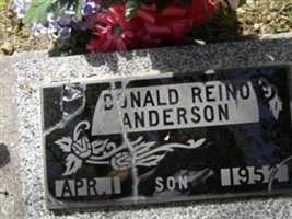 Donald Reino Anderson (1516917.jpg) Donald Reino Anderson (1516917.jpg)
