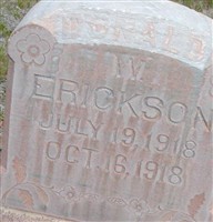 Donald Warren Erickson