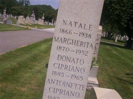 Donato Cipriano Donato Cipriano