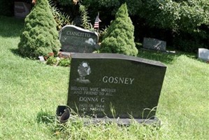 Donna G Gosney