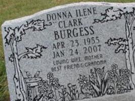 Donna Ilene Clark Burgess