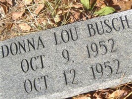Donna Lou Busch