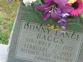 Donny Lance Baggs Donny Lance Baggs