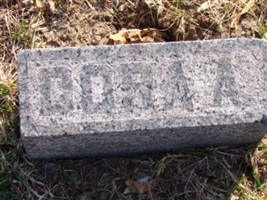 Dora A. Collins Dora A. Collins