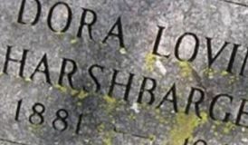 Dora Lovina Harshbarger