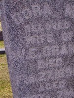 Dora M Grant Dora M Grant