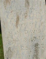 Dora M Thompson Davis Dora M Thompson Davis