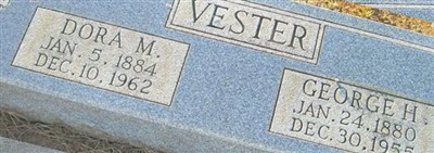 Dora M Vester