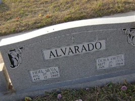 Dora Ortiz Alvarado