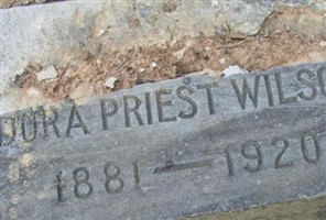 Dora Priest Wilson Dora Priest Wilson