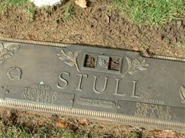 Dorcas B Stull