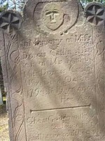 Dorcas Carlin