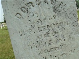 Dorcas Lemmon Dorcas Lemmon