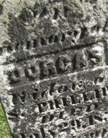 Dorcas Phillips
