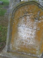 Dorcas Stewart Dorcas Stewart