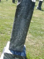 Dorcas Taylor