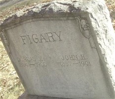 Dorcus M Figary Dorcus M Figary