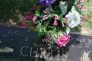 Doris Dot Bridges Curtis Doris Dot Bridges Curtis