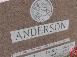 Doris Larson Anderson