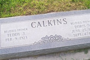 Doris N Calkins