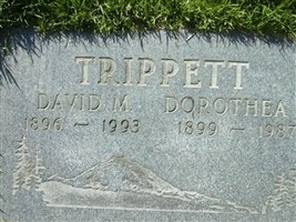 Dorothea Estelle Adams Trippett Dorothea Estelle Adams Trippett