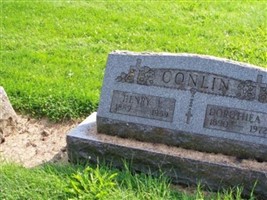 Dorothea F Conlin