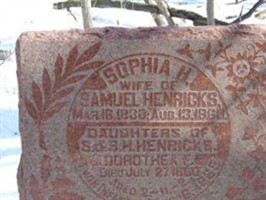 Dorothea F Henricks