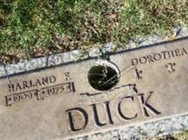 Dorothea M Duck
